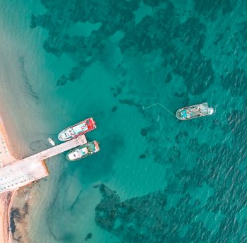 Bir Hafta Sonu Geyikli Dalyan’ dayız…